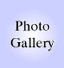 Photo Gallery Icon